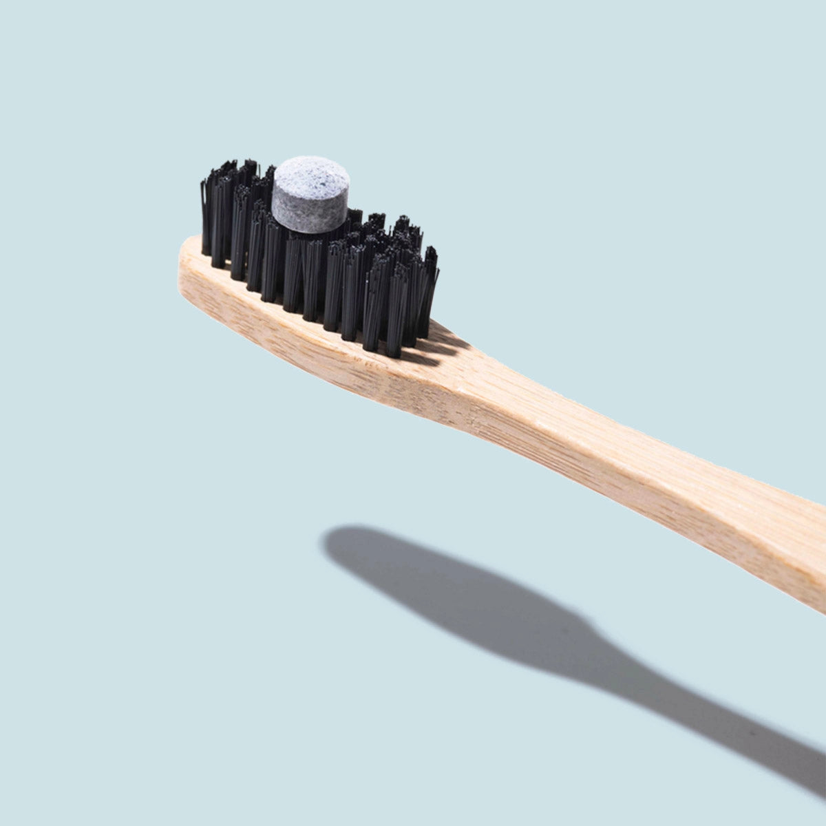 Mint Charcoal Toothpaste Bits